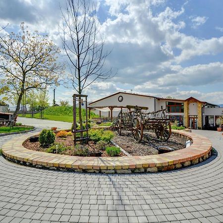 Penzion Tokaj Macik Winery B&B Mala Trna Exterior foto
