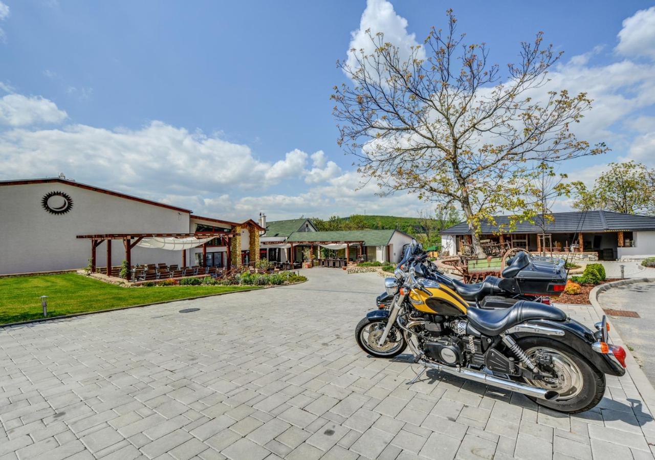 Penzion Tokaj Macik Winery B&B Mala Trna Exterior foto